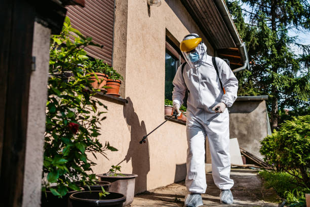 Reliable Brooktrails, CA Pest Control Solutions