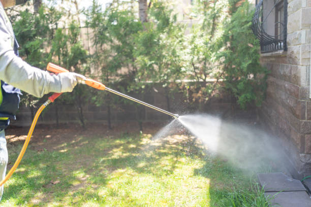 Insect Control in Brooktrails, CA